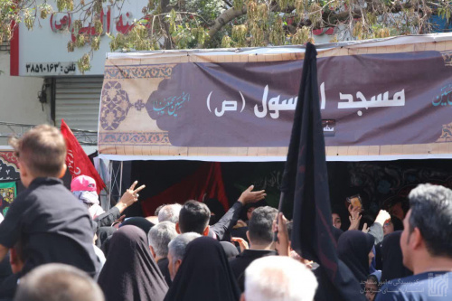 گزارش تصویری فعالیت مواکب در راهپیمایی جاماندگان اربعین مشهد (16)	