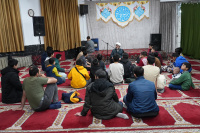 مشاهده DSC02235.JPG