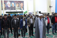 مشاهده IMG_3921.JPG