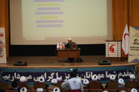 مشاهده DSC00104.jpg