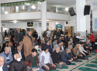 مشاهده IMG_4602.JPG