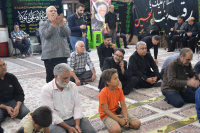 مشاهده DSC_7174.jpg