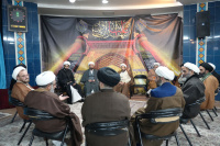 مشاهده DSC02087.JPG