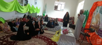 مشاهده photo_2025-05-03_01-13-09.jpg