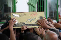 مشاهده DSC03138.JPG