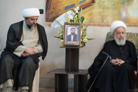 مشاهده DSC00033.jpg