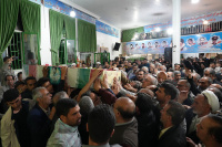 مشاهده DSC03143.JPG