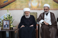 مشاهده DSC09921.jpg